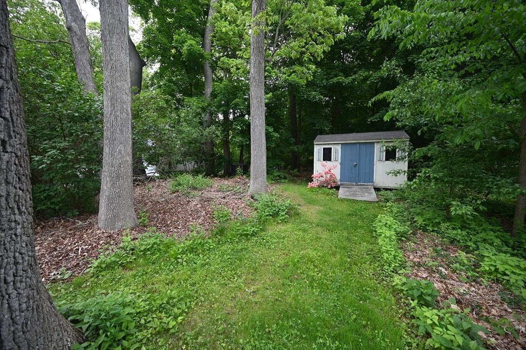 6 Ardmore Rd