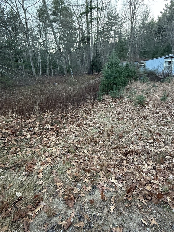 128 Holland Rd