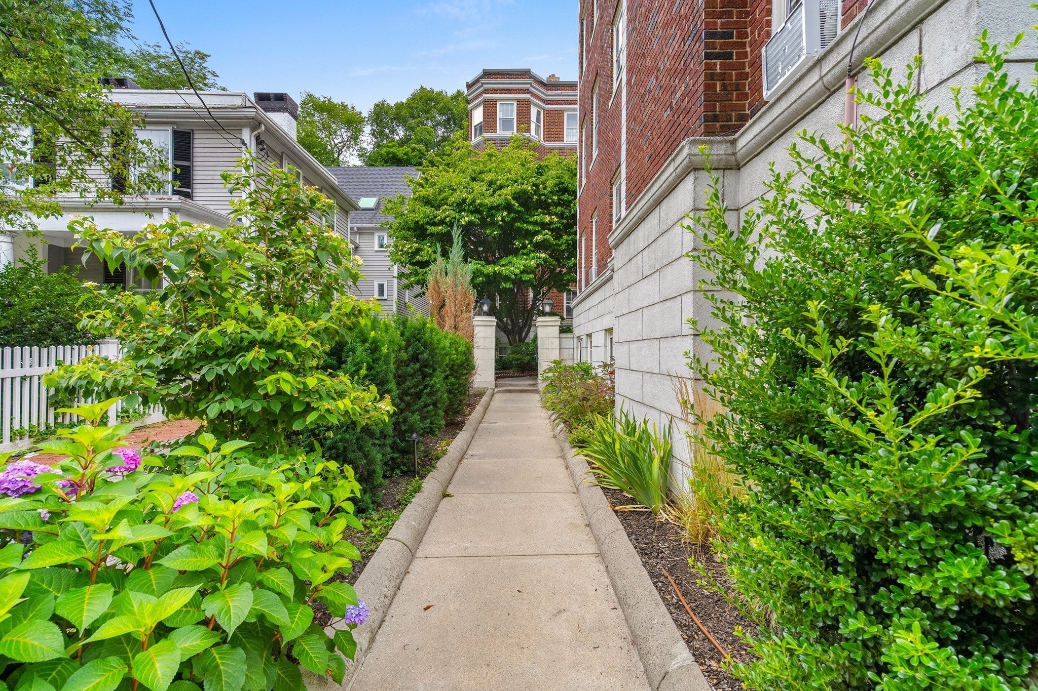 41 Bowdoin St #25, Cambridge, MA, 41 Bowdoin St #25, Cambridge, MA Photo #18