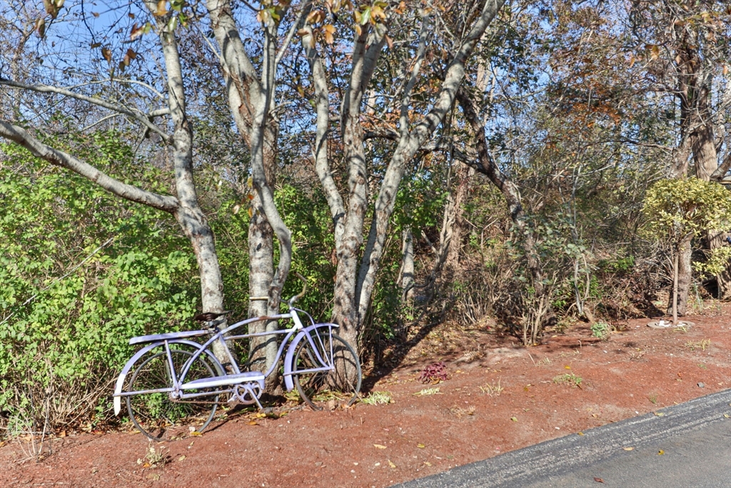 Orleans, Massachusetts 02653, United States, 1 Bedroom Bedrooms, ,1 BathroomBathrooms,Residential,Pending,15323