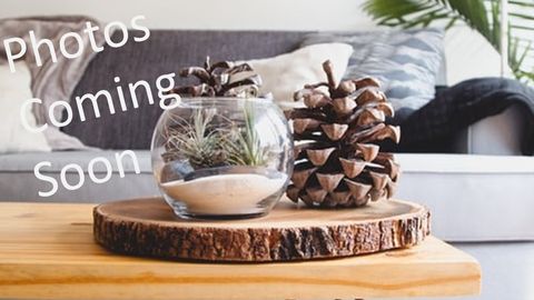 150 Webster Ave 3 Chelsea MA 02150