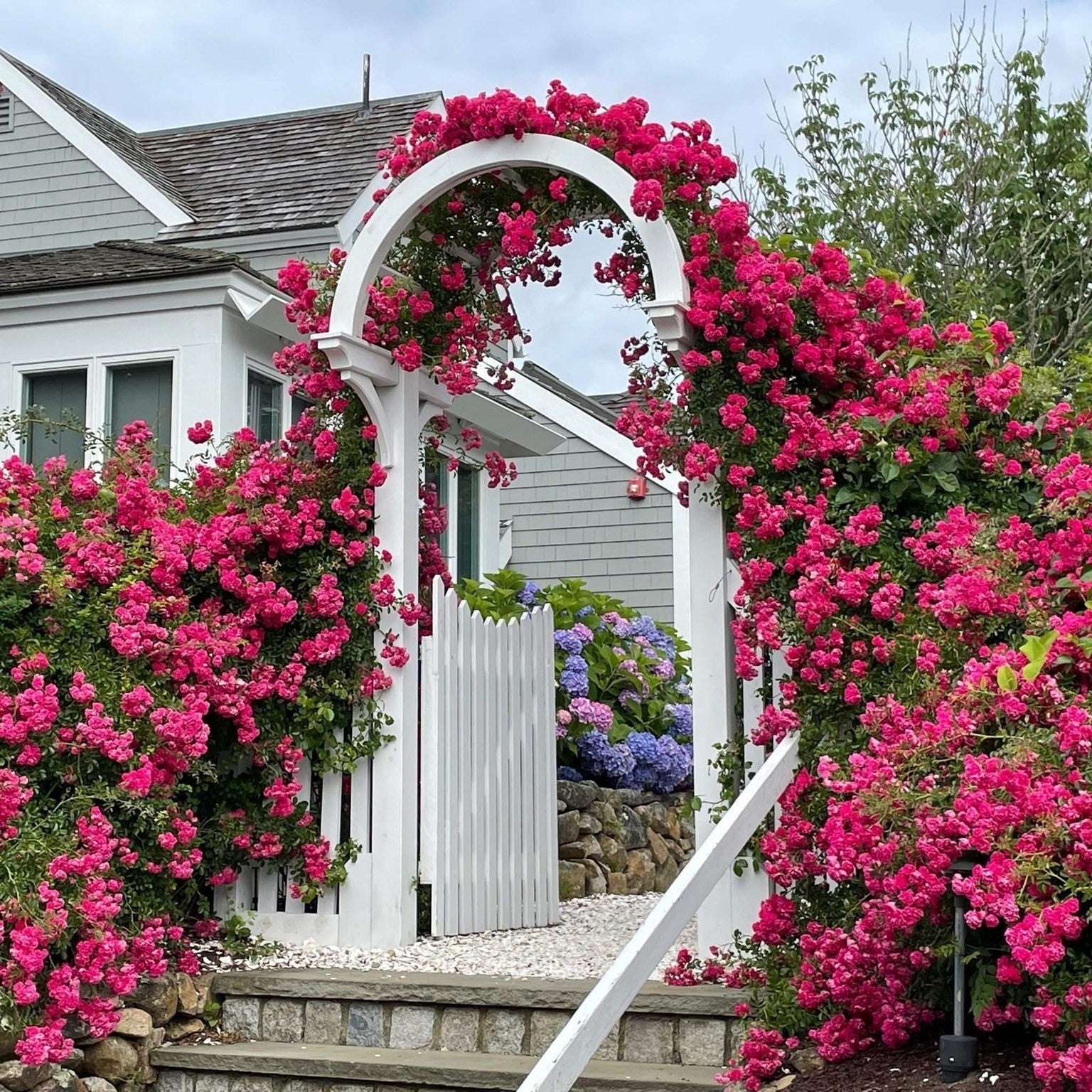 4 Brant Rock Rd #4, Mashpee, MA Photo #25