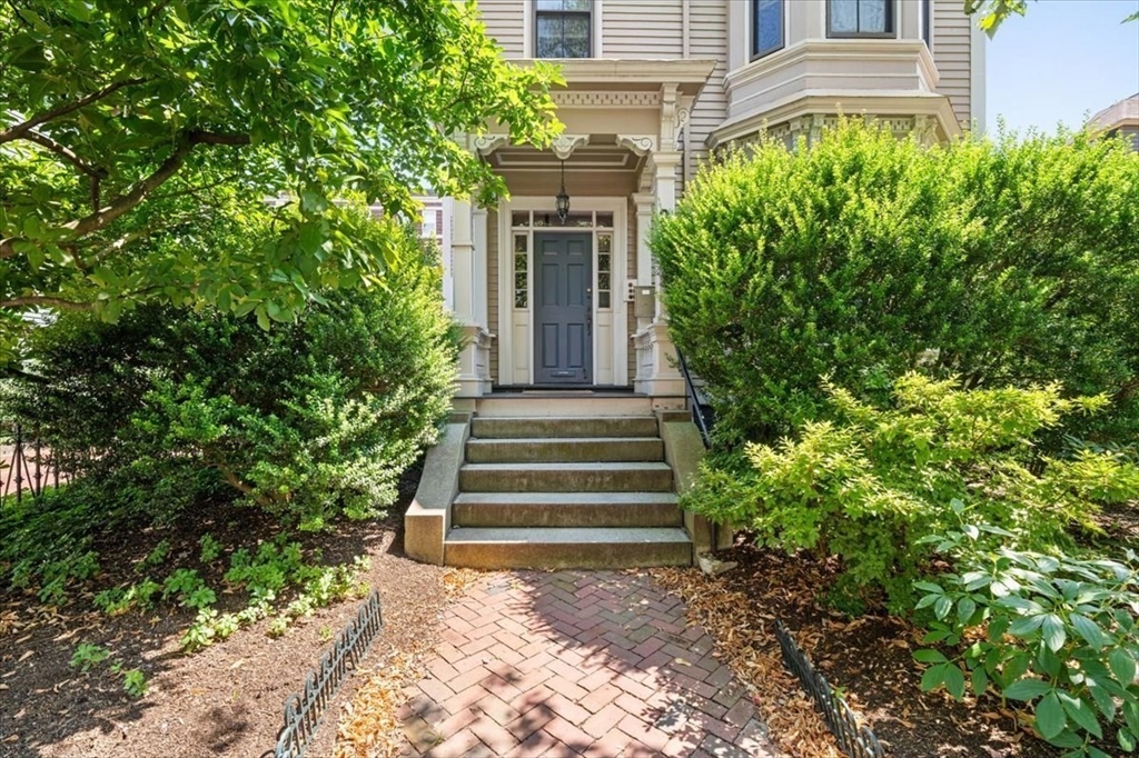 26 Linnaean Street 3