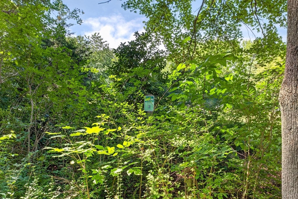 61 Highland Avenue, Dartmouth, MA Photo #40