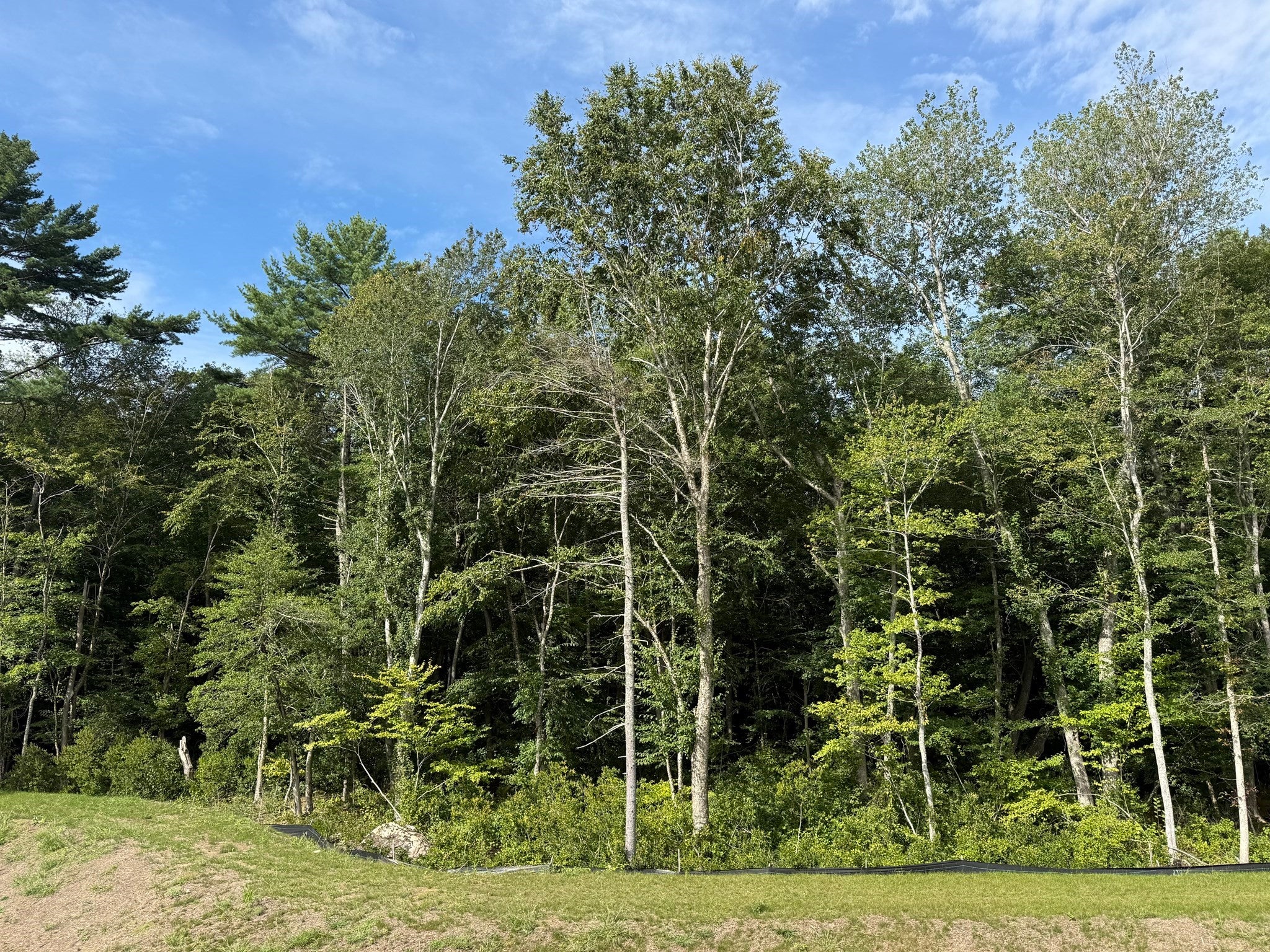 480 Wareham St #37, Middleboro, MA, 480 Wareham St #37, Middleboro, MA Photo #4