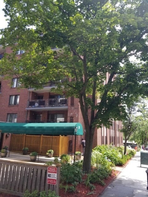 Photo of 30 Stearns Rd #502, Brookline, MA 02446 (MLS # 73547525)