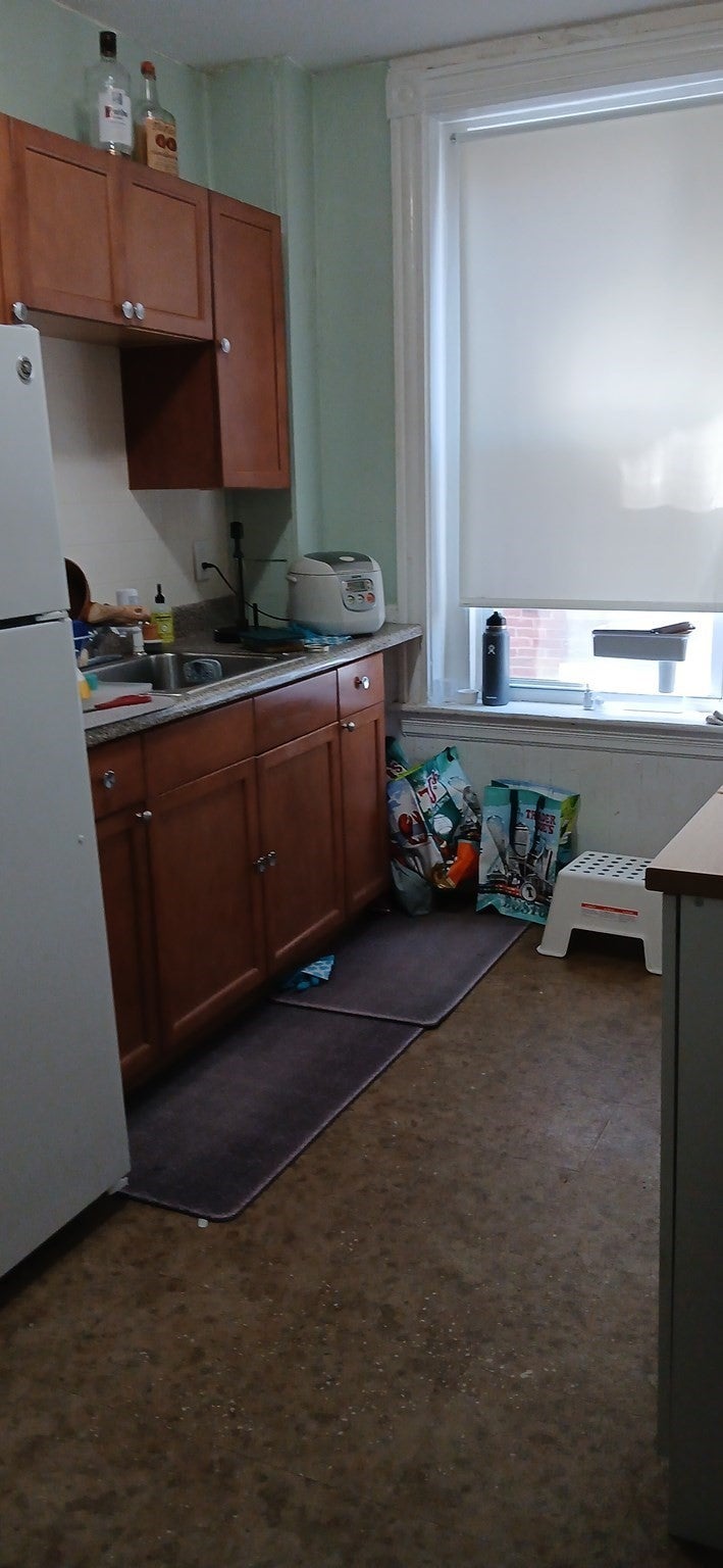 17 Vancouver St #3, Boston, MA Photo #6