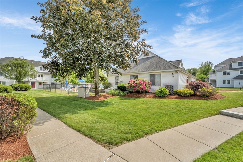 360 Littleton D1