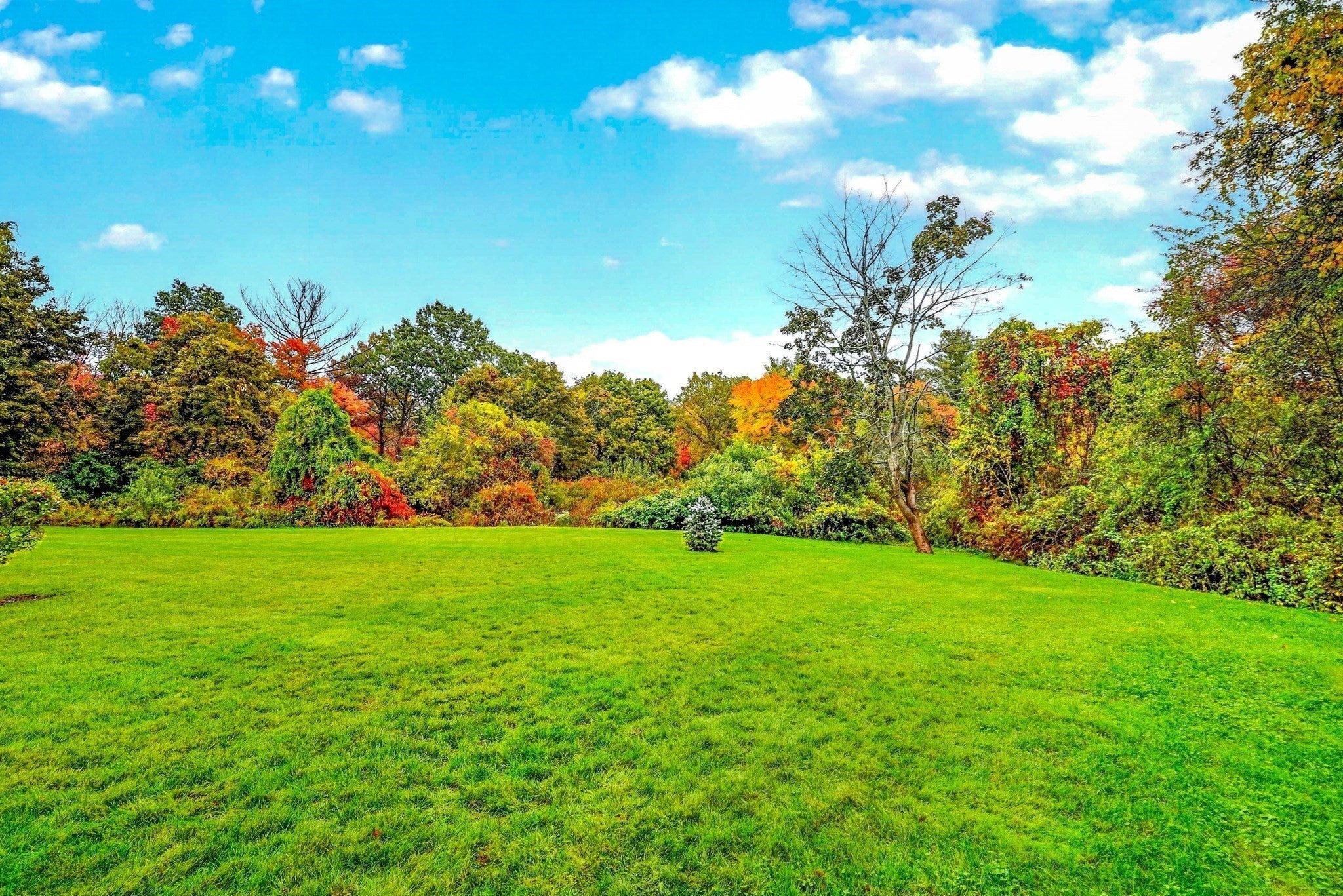 66 Evergreen Ave #66, Bedford, MA, 66 Evergreen Ave #66, Bedford, MA Photo #30
