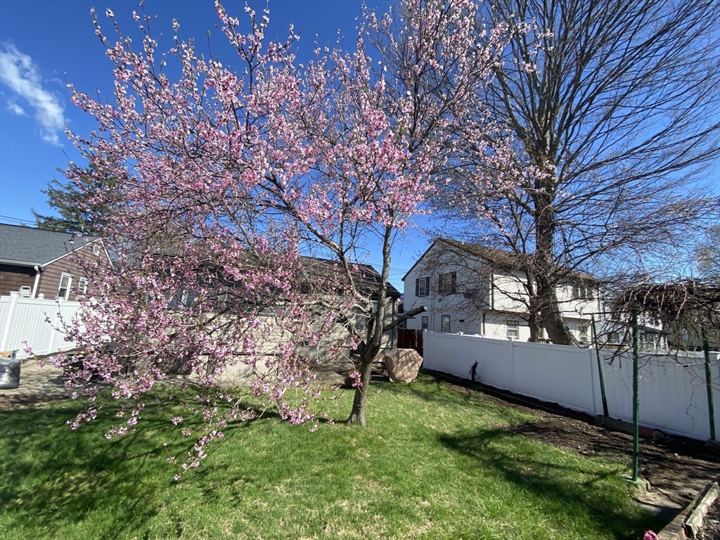 49 Hollace Street, Waltham, MA Photo #29