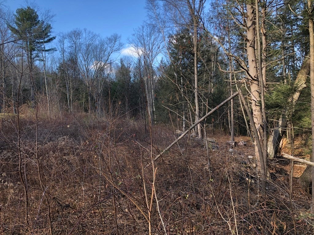 0 Potato Hill Road
