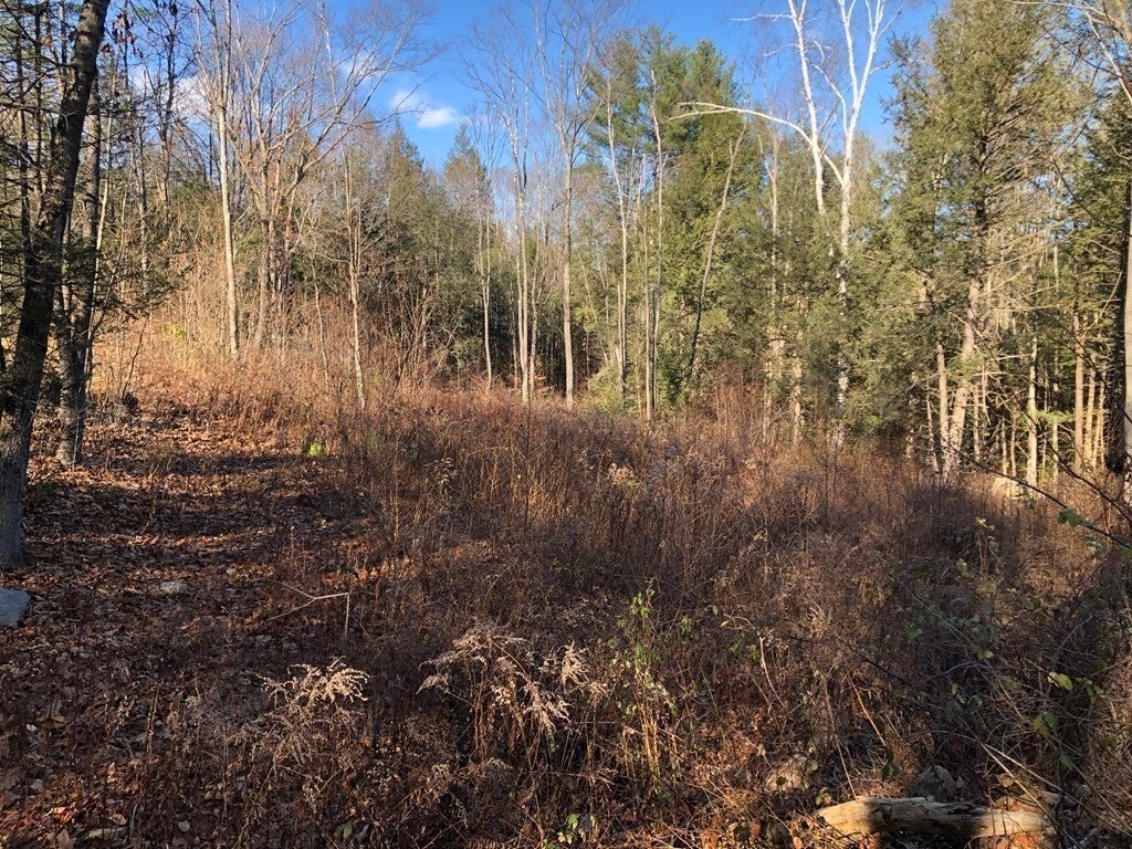 0 Potato Hill Road