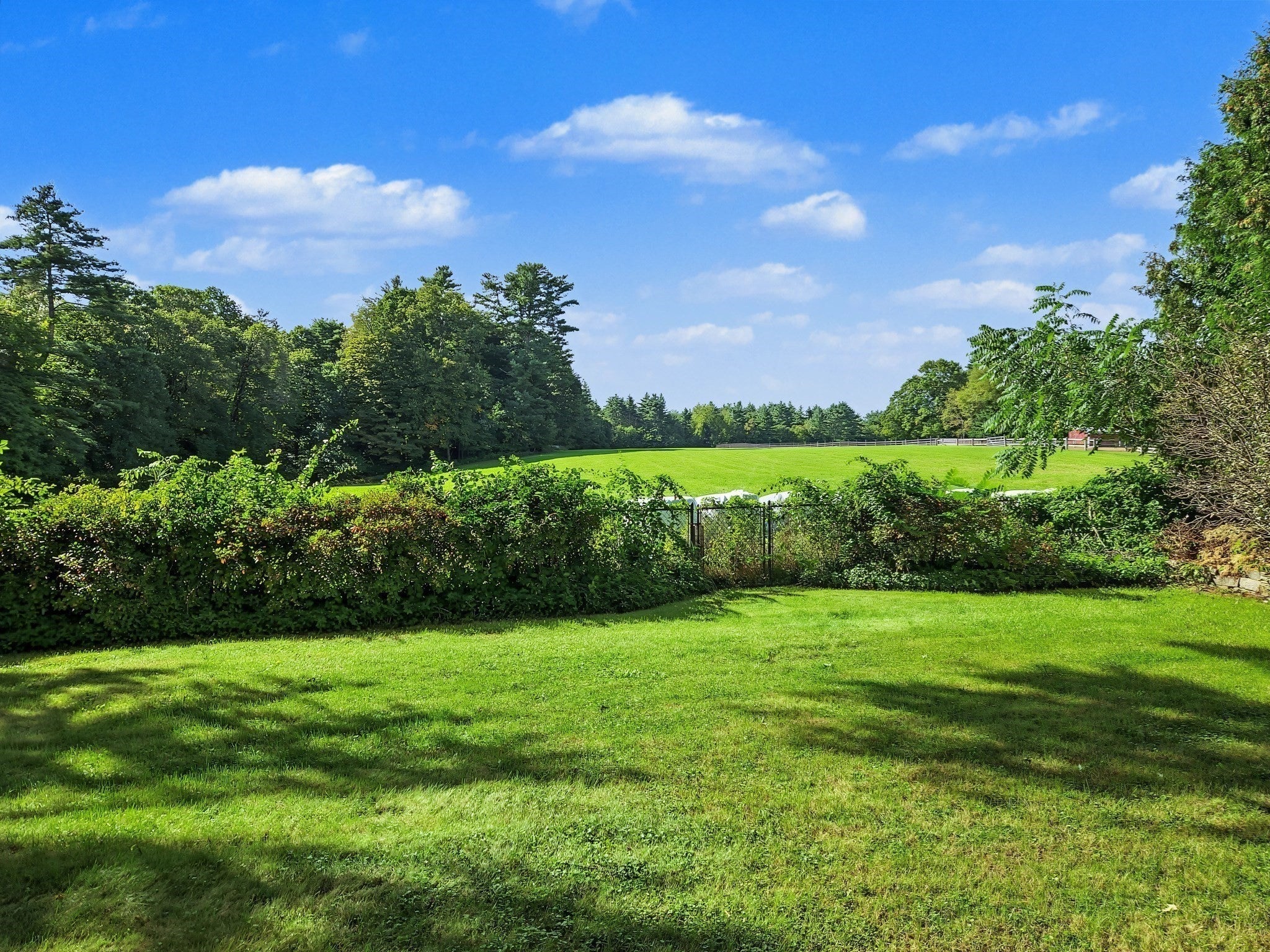 170 Barton Rd, Greenfield, MA, 170 Barton Rd, Greenfield, MA Photo #37