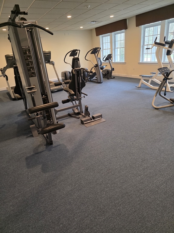 877 Auburnville Way M2