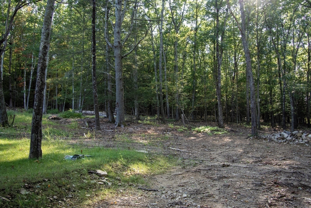 126 Old Southbridge Rd