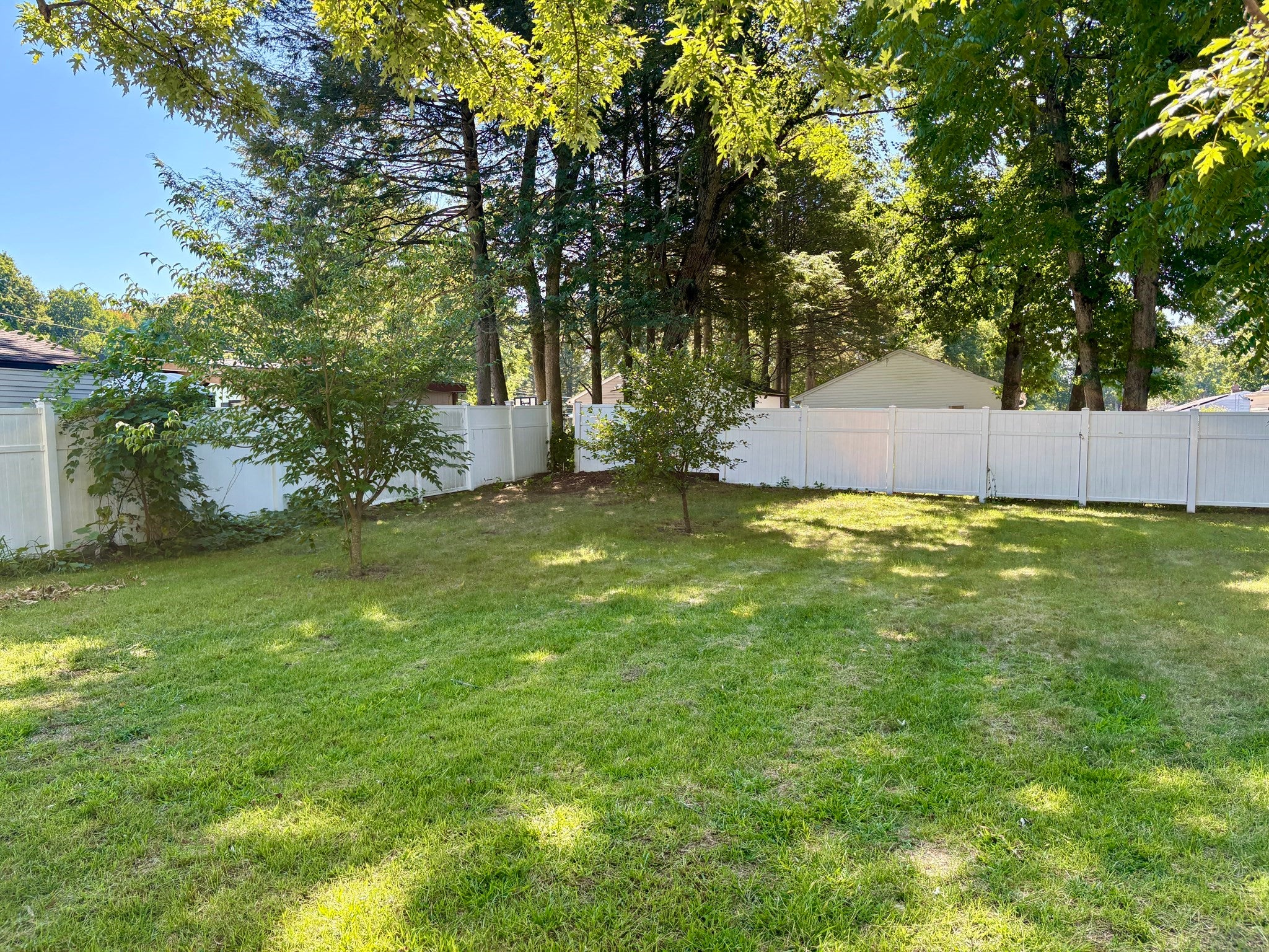 85 Talmadge Dr, Springfield, MA Photo #5