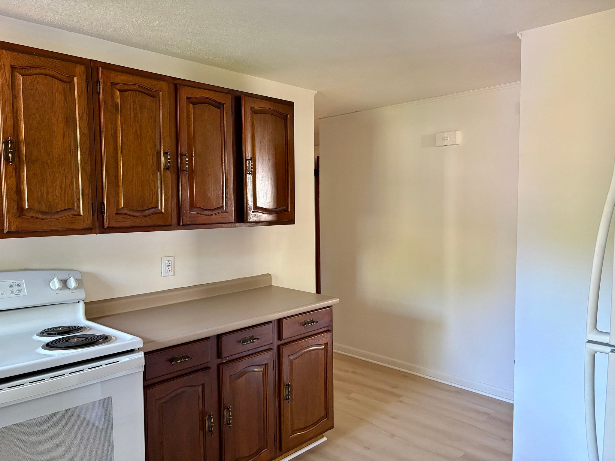 85 Talmadge Dr, Springfield, MA Photo #8