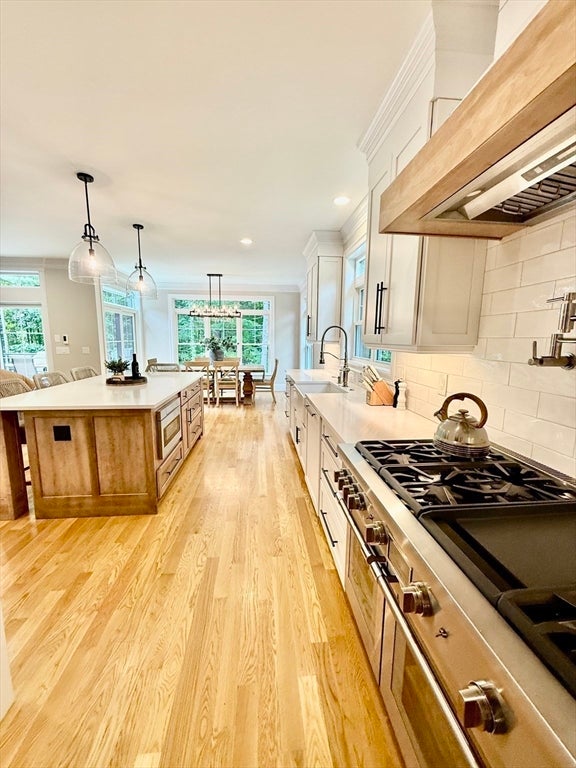 64 Olde Forge Lane, Easton, MA Photo #7