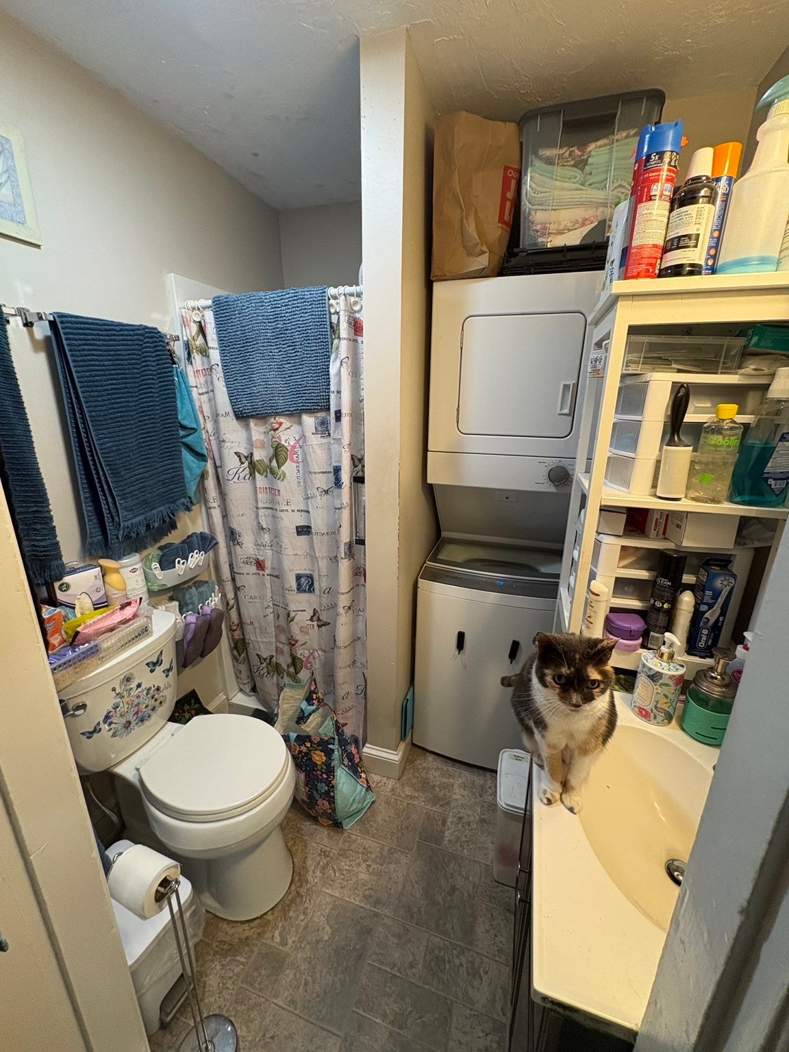 15 Leonard Street, North Attleboro, MA, 15 Leonard Street, North Attleboro, MA Photo #12