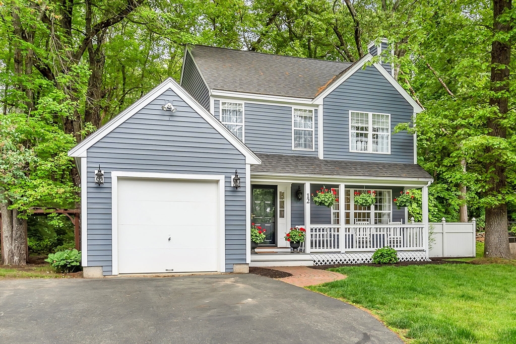 12 Blueberry Lane