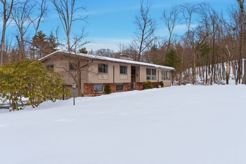 Photo of 46 Brewster Road, Sudbury, MA 01776 (MLS # 73479001)