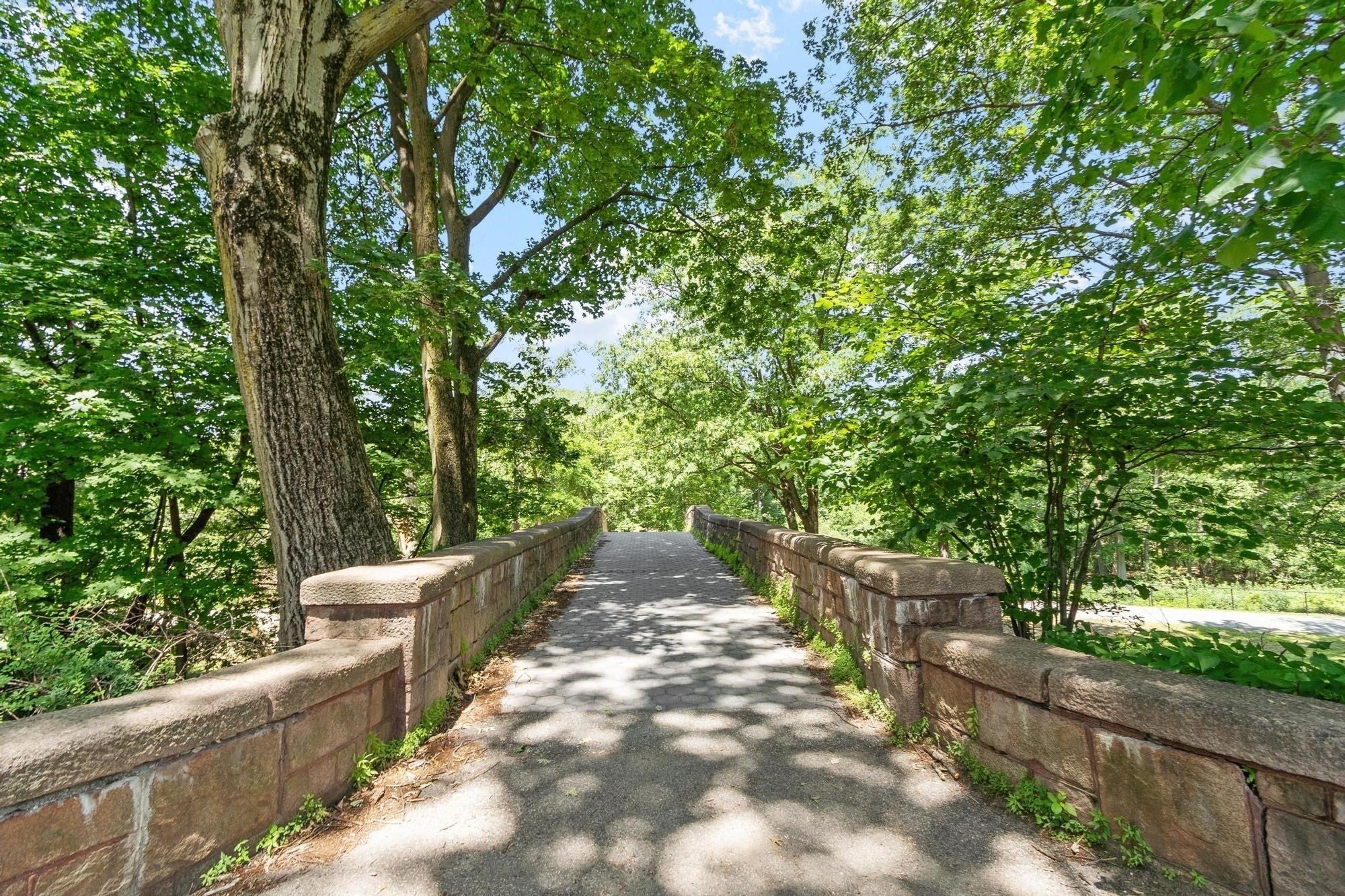 120 Riverway #4, Boston, MA, 120 Riverway #4, Boston, MA Photo #23