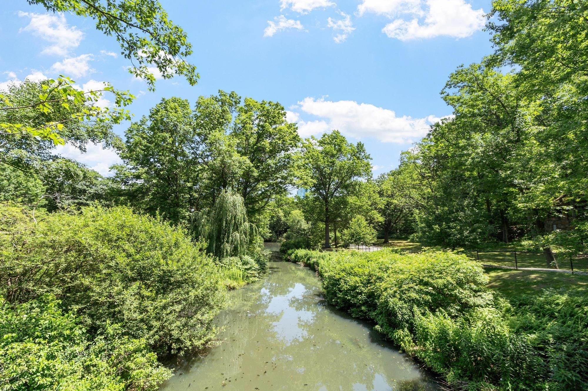 120 Riverway #4, Boston, MA, 120 Riverway #4, Boston, MA Photo #26