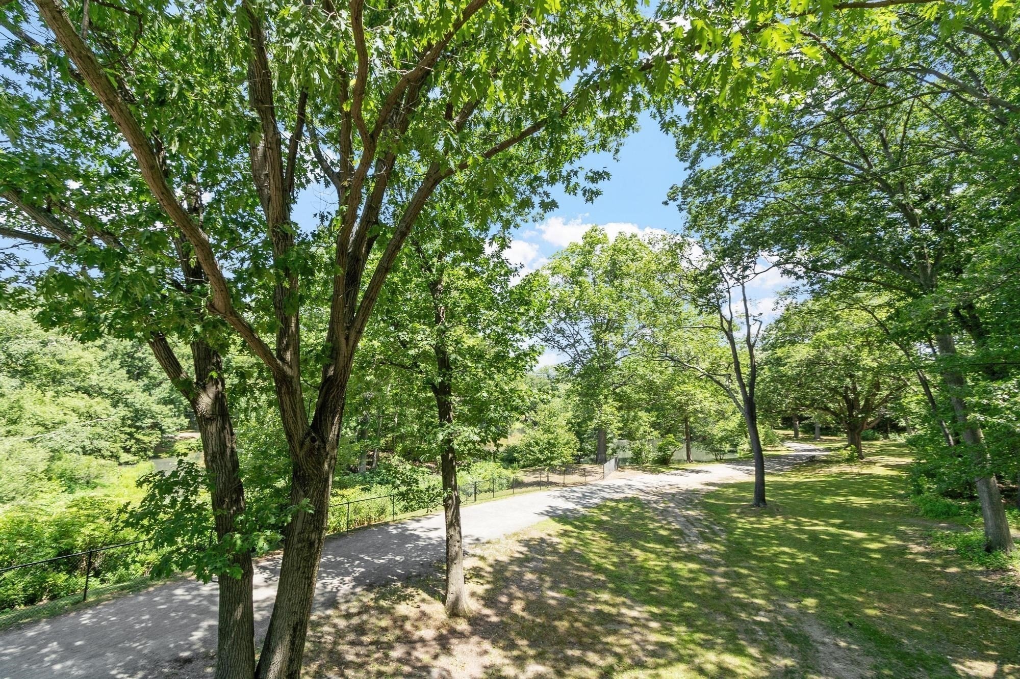 120 Riverway #4, Boston, MA, 120 Riverway #4, Boston, MA Photo #24