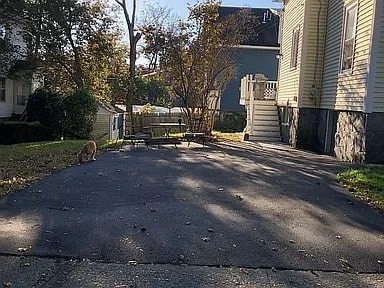 250 May St
