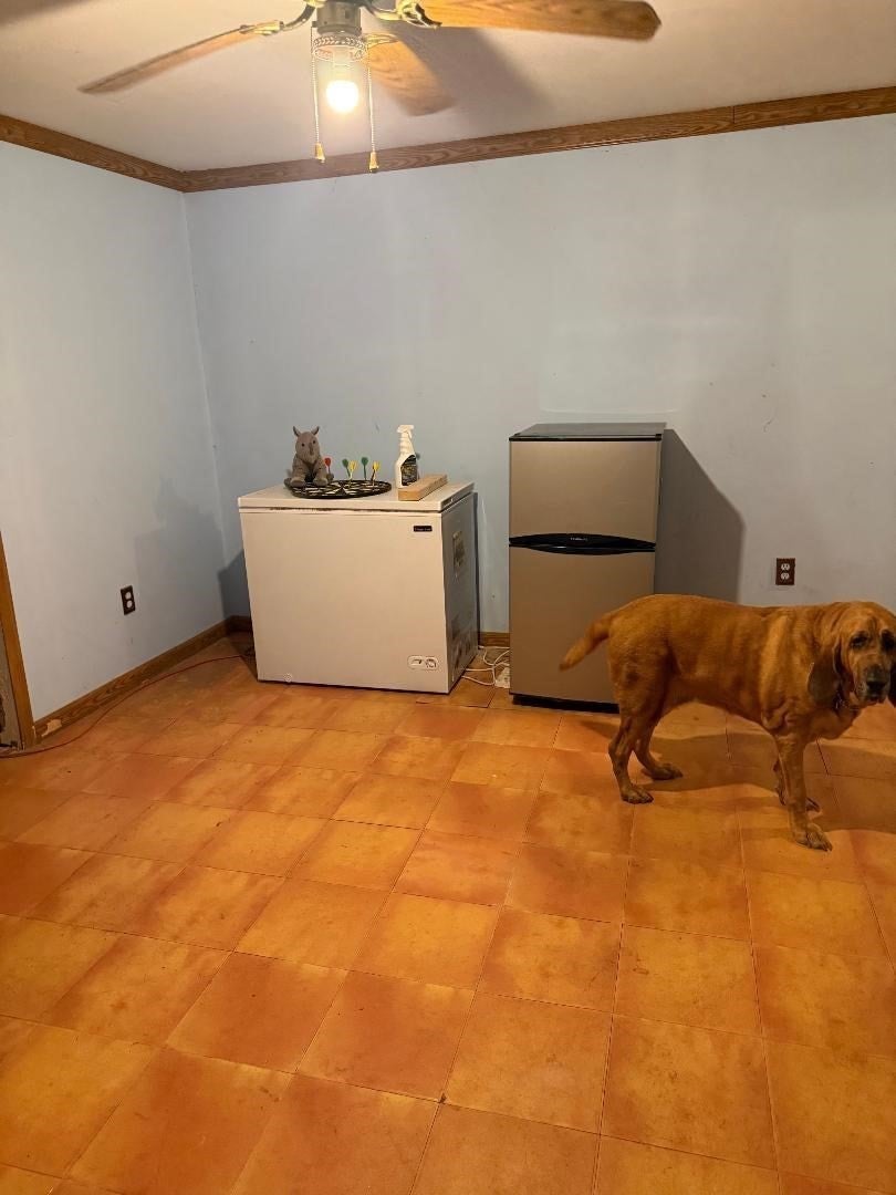 172 Walnut Street, Douglas, MA Photo #8