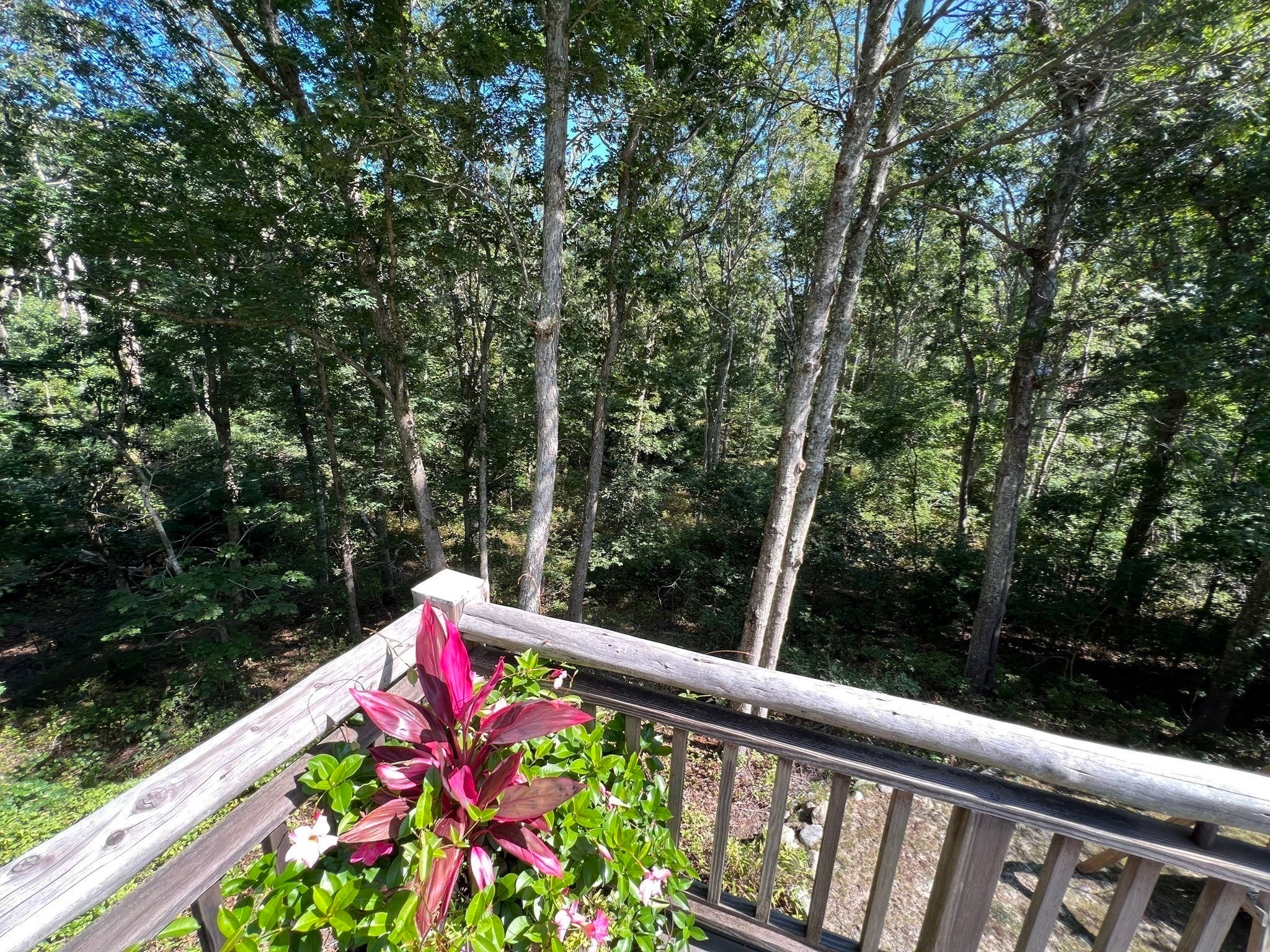 18 Sylvan Avenue, Tisbury, MA, 18 Sylvan Avenue, Tisbury, MA Photo #28