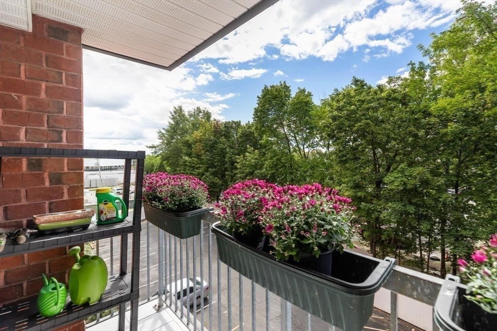 8 9th ST #411, Medford, MA, 8 9th ST #411, Medford, MA Photo #6
