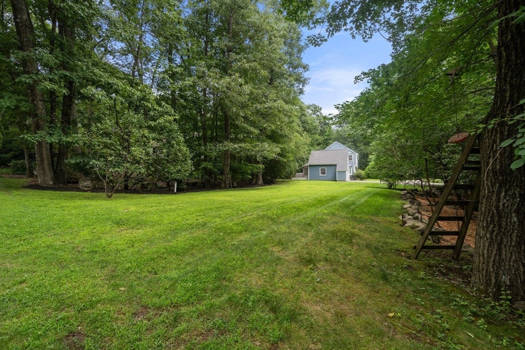 44 Ivy Lane