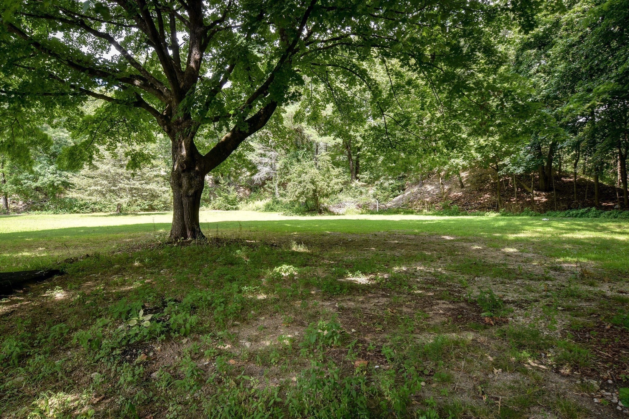 202 Boston Post Rd, Wayland, MA Photo #31