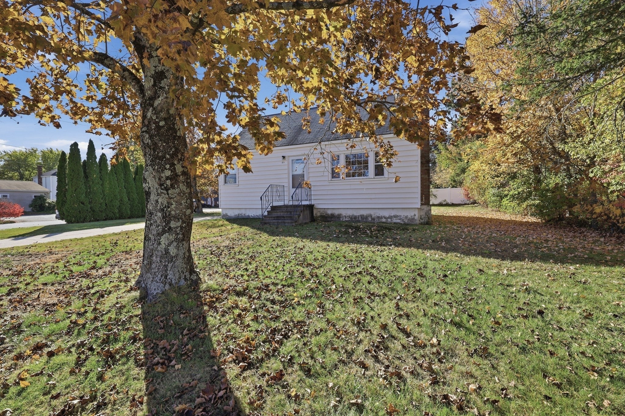 65 Holliston Street