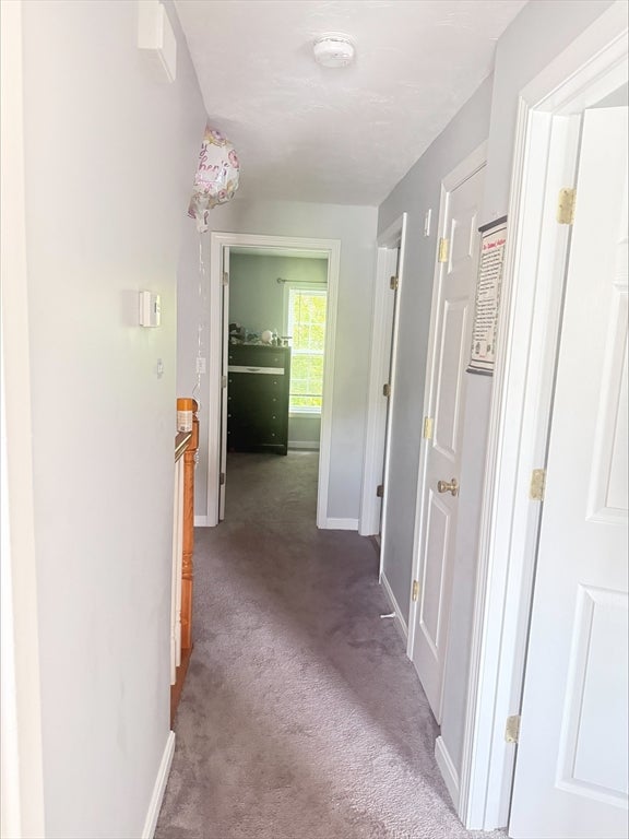 17 Foster St 15