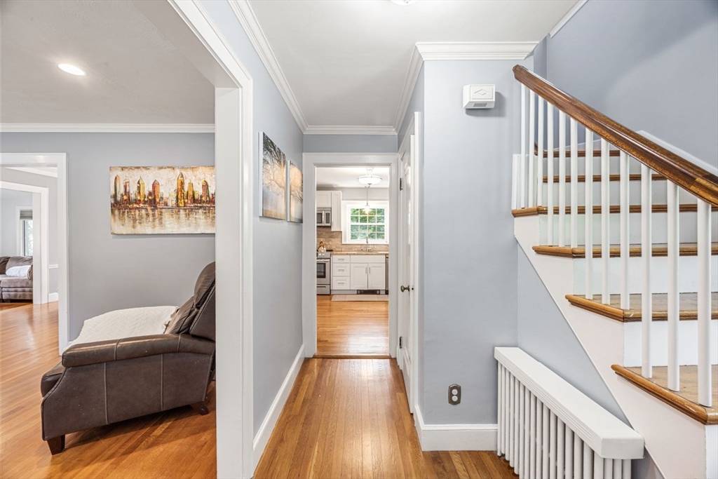 30 Myopia Road