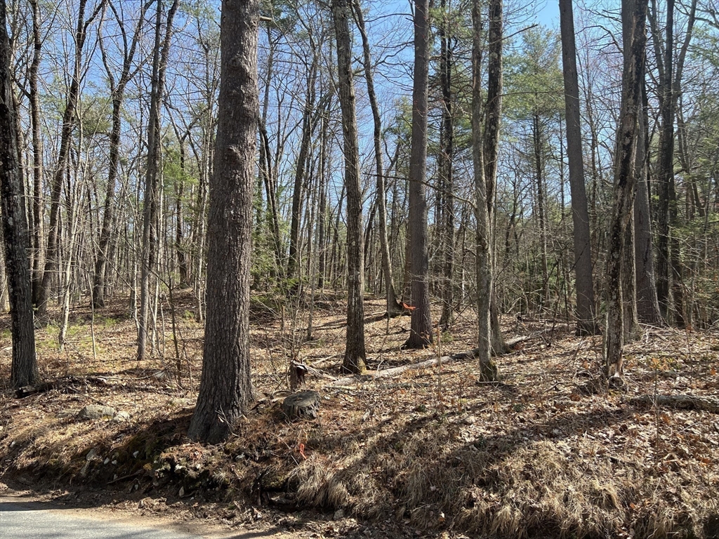 Lot 2, January Hills Road