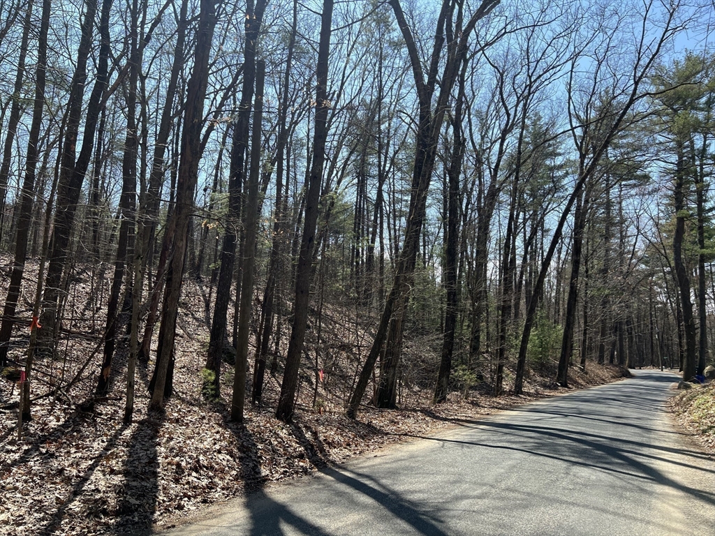 Lot 2, January Hills Road