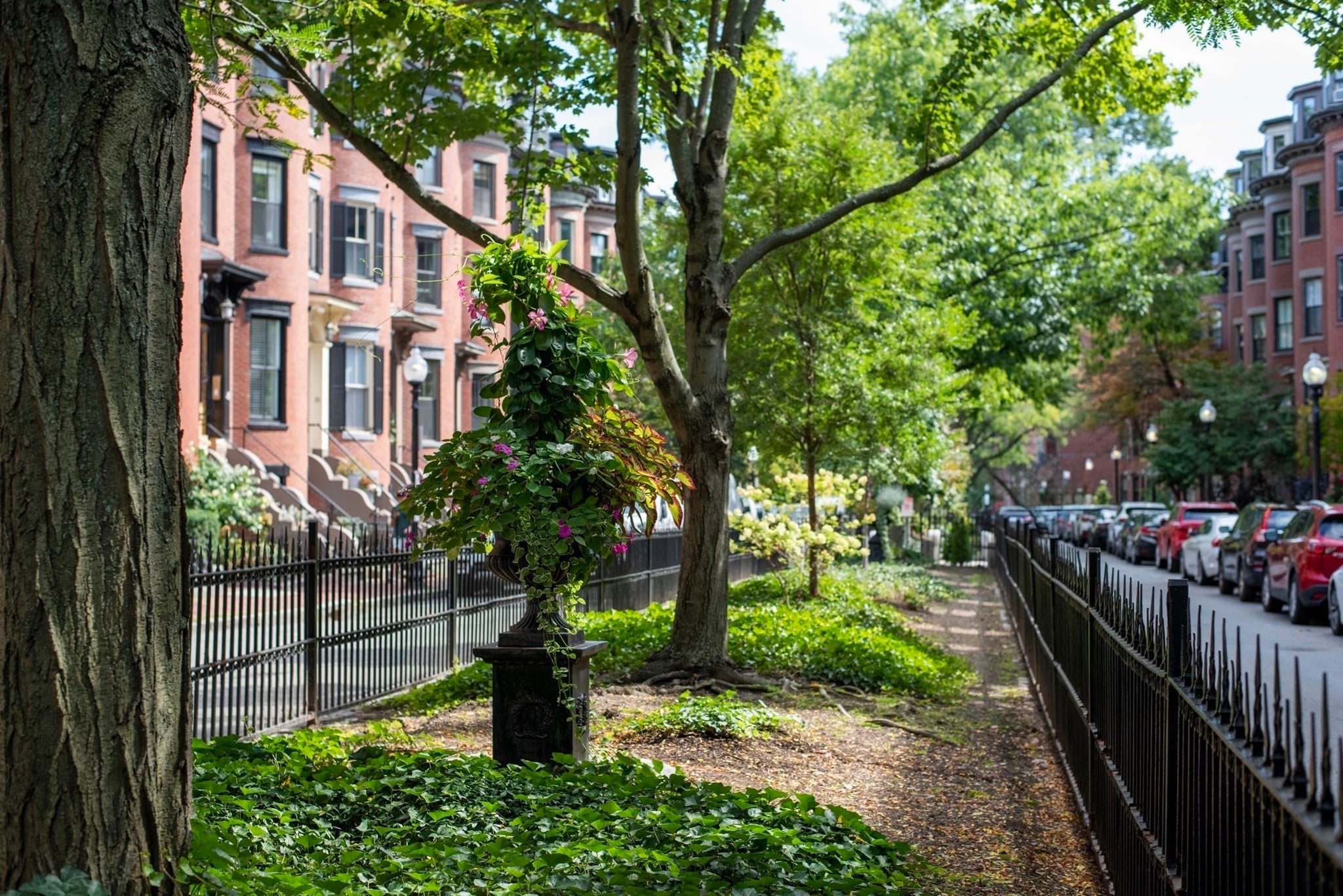 50 Rutland Square #1, Boston, MA Photo #25