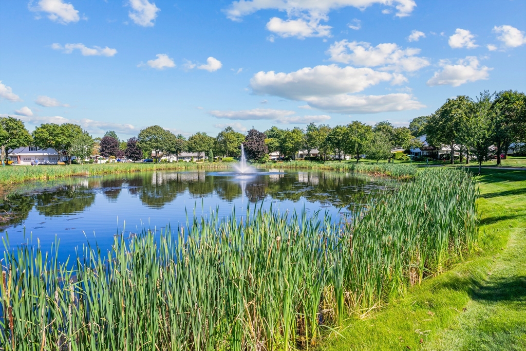 Warwick, Rhode Island 02886, United States, 2 Bedrooms Bedrooms, ,2 BathroomsBathrooms,Residential,Active,96751