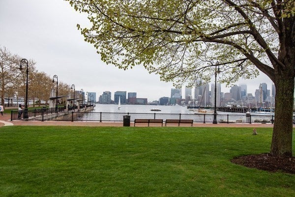 156 Porter St #143, Boston, MA Photo #26