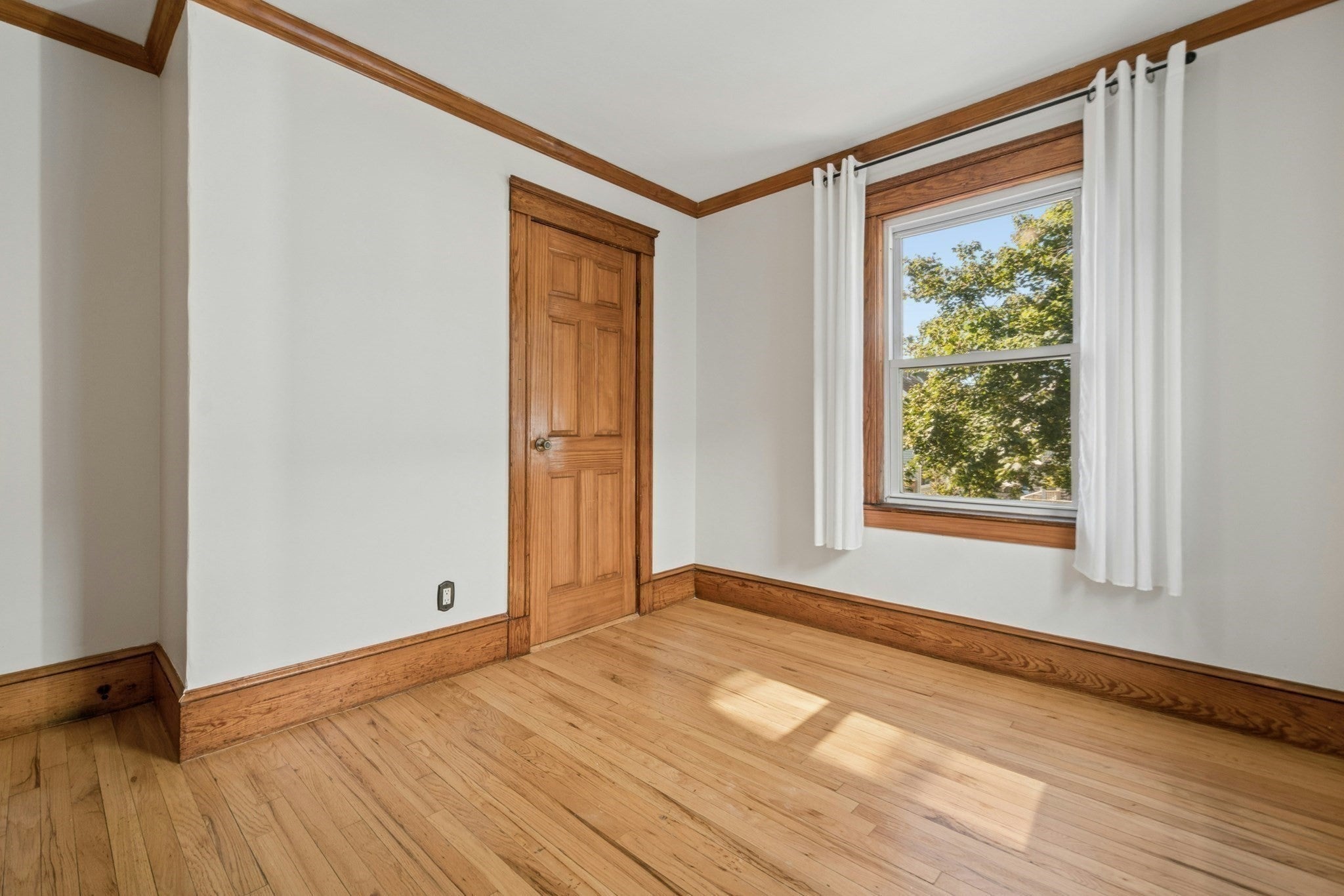 10-12 Colgate Rd #2, Boston, MA, 10-12 Colgate Rd #2, Boston, MA Photo #21