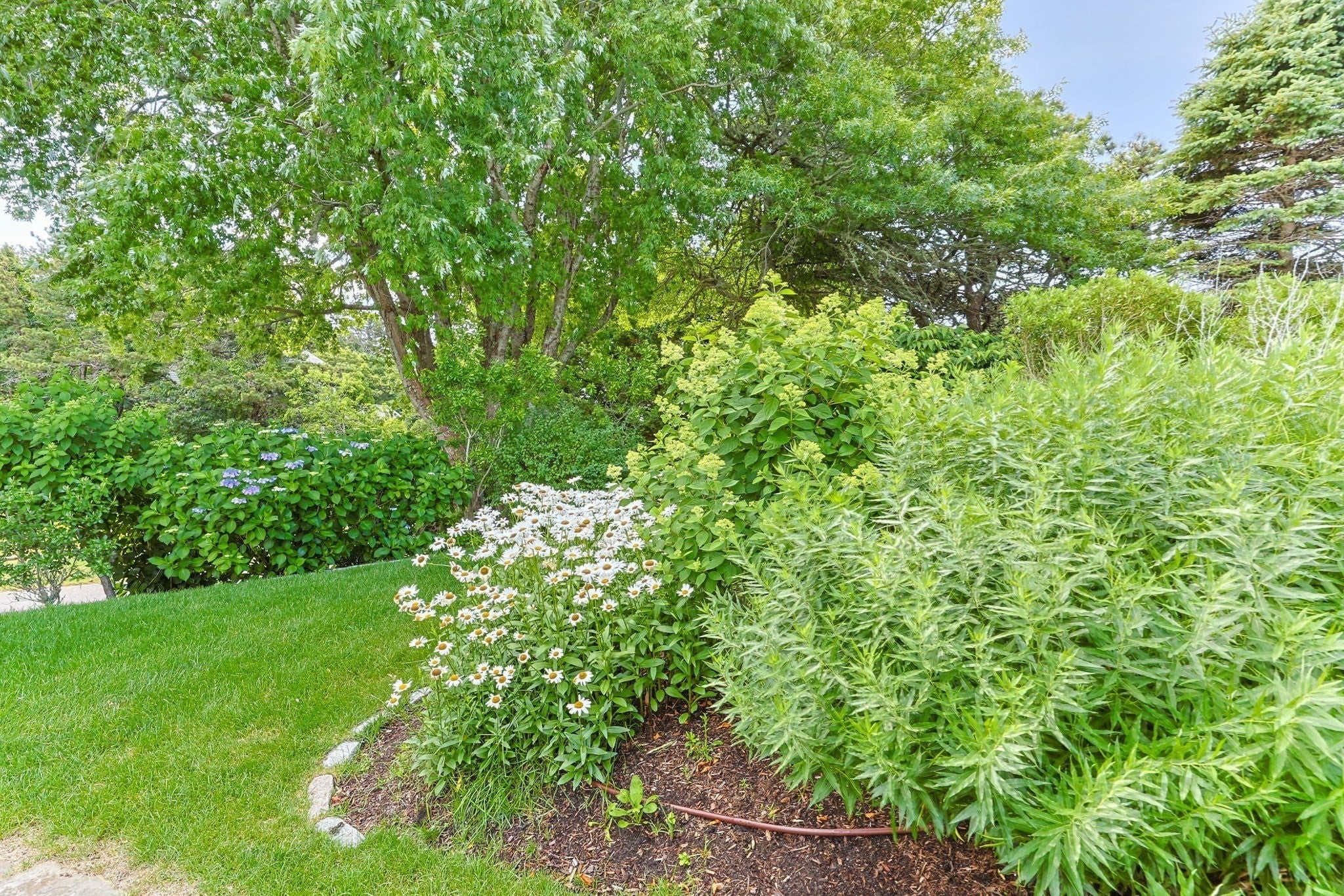 92 Indian Trail