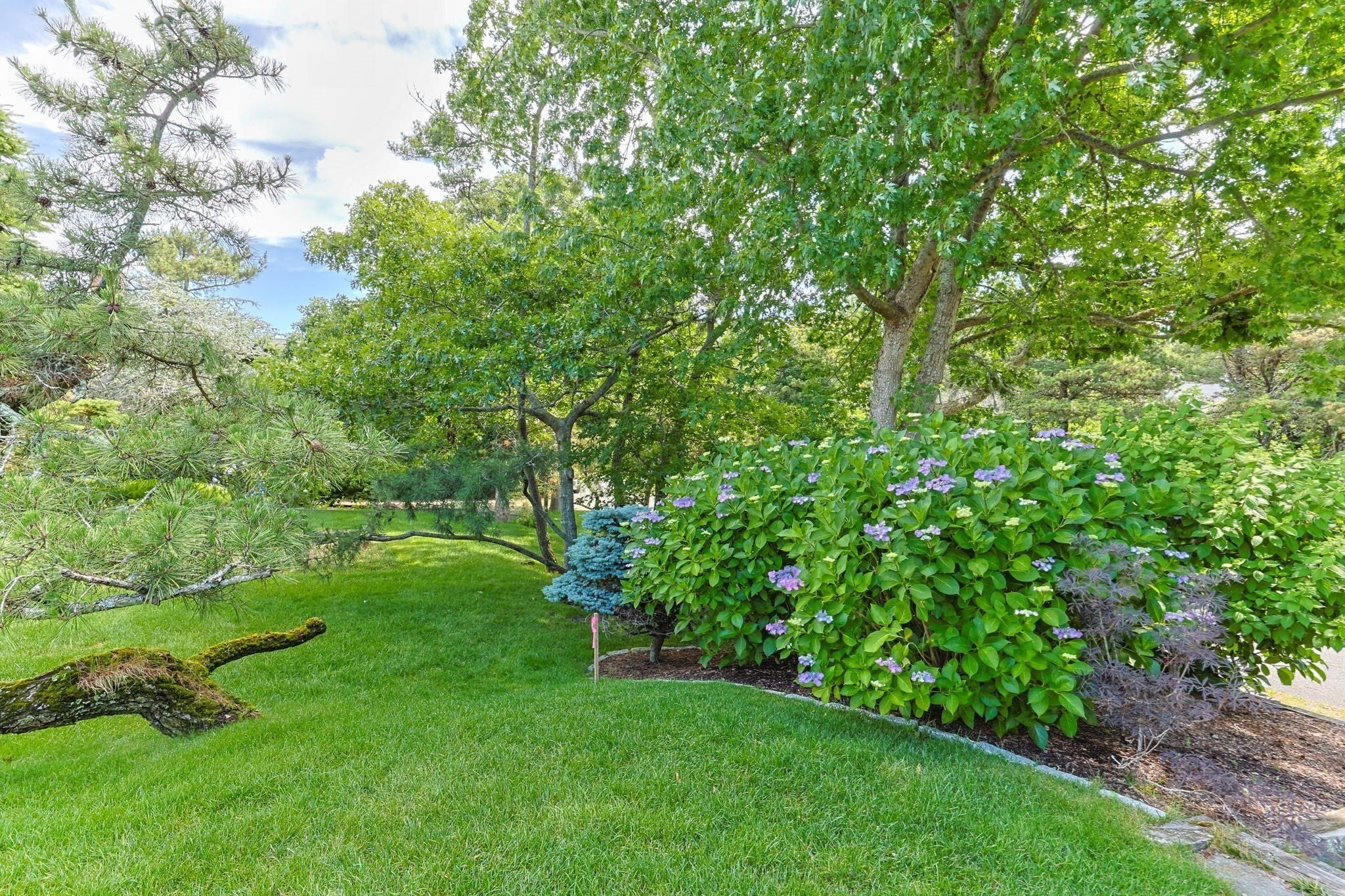 92 Indian Trail