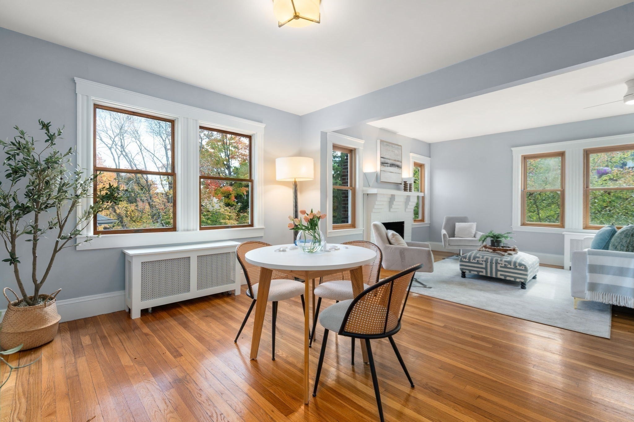 146 University Rd #146, Brookline, MA Photo #18