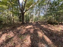 75 Salisbury St., Lot 12