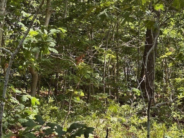 35 Sterling Rd