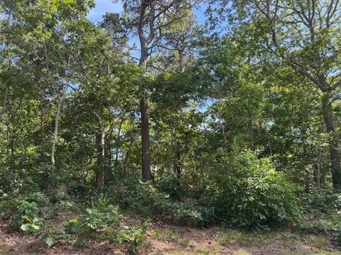 Photo of 35 Sterling Rd, Harwich, MA 02645 (MLS # 73398018)