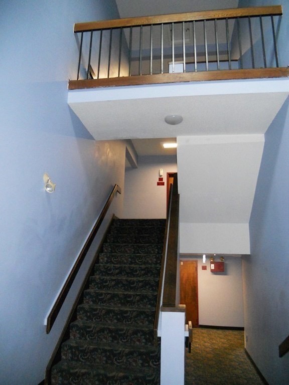 25 Longworth Ave 11